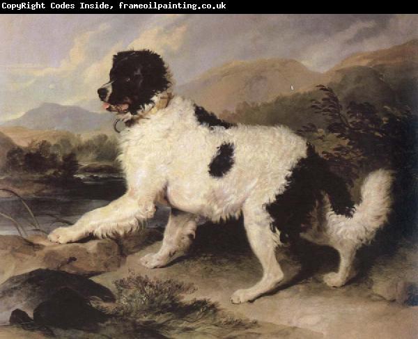 Sir Edwin Landseer lion a newfoundland dog